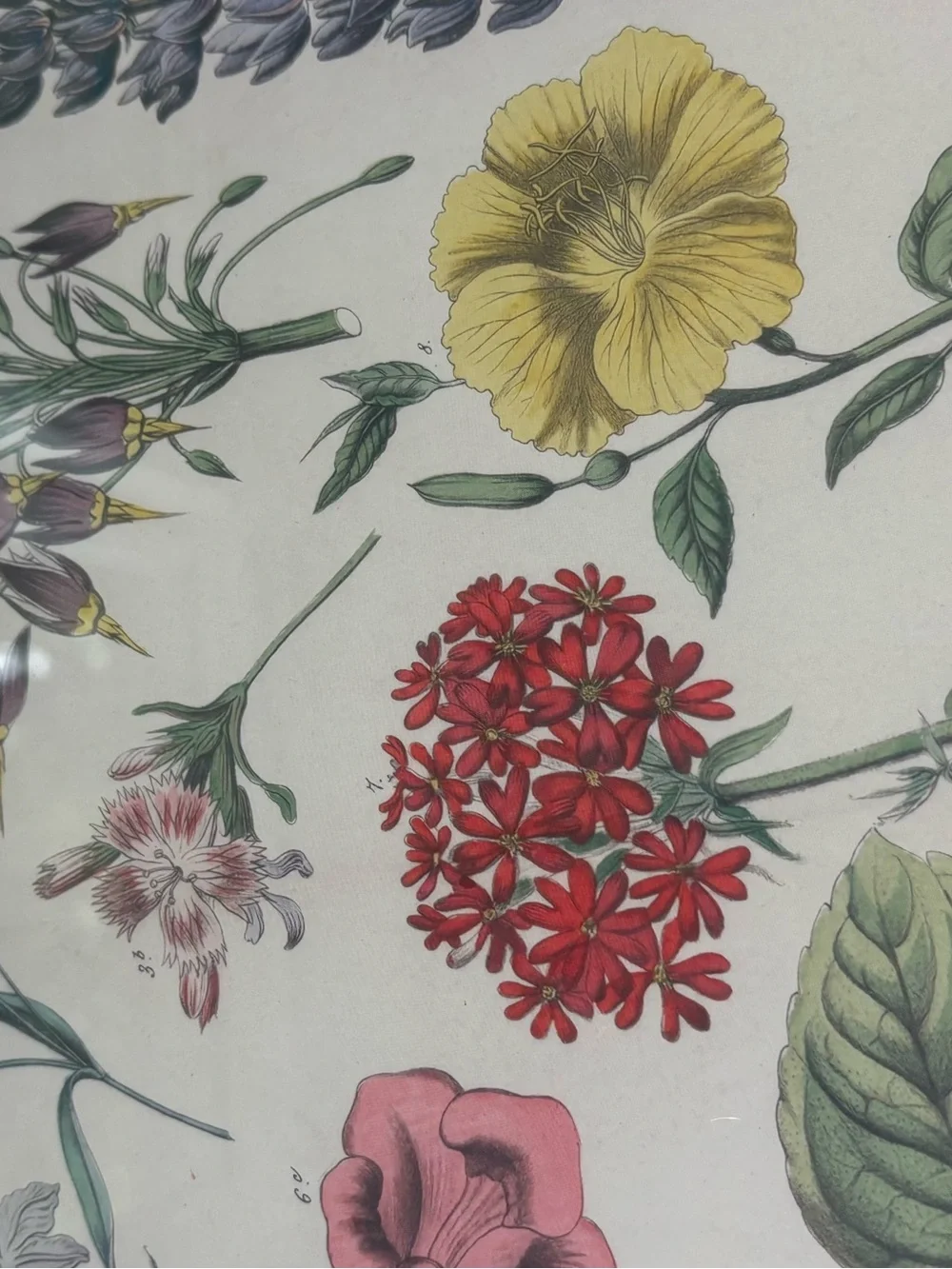 Floral Botanical Print Wall Art in Multi-Color